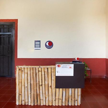 Capital O Hacienda Yunku Hotel, Yucatan メリダ エクステリア 写真